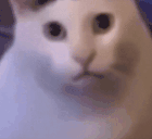 1744478445281441