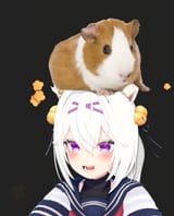 fillyPigian