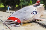 catfish f-100