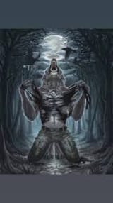 FILLYABS