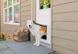All_About_Dog_Doors_Extreme_Weather_Aluminum_Pet_Door_L_LS_Bear_crop-scaled.jpg.optimal