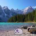 Pebble just beeping explodes [sound=files.catbox.moe%2F49xksj.ogg]_thumb.jpg