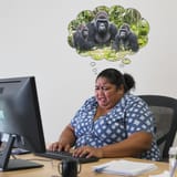 GorillasLivingRentFree