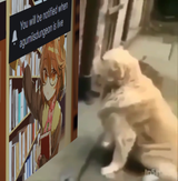 1737254213111797