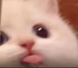 1705608118210111