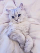 yura&#039;s naked pussy