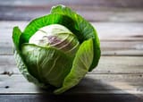 cabbage