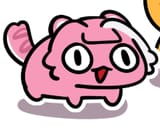 smallcat