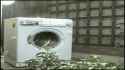 Biboo destroys a washing machine[sound=files.catbox.moe%2Fc7cy20.mp3]_thumb.jpg