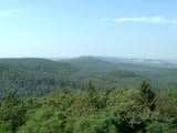 1200px-Blick-%C3%BCber-den-Teutoburger-Wald1