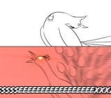 1739086046638558