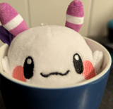 momocup