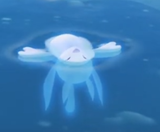 dewqwqrwr