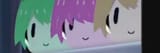 shachi??