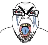 1728860810477345