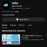 Screenshot_20250628-014023.YouTube