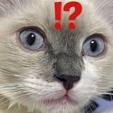 1747220889752562