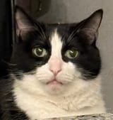 1734305826456852