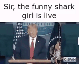 SharkIsLive