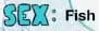 firefox_AinJUR5Nk1