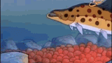magic-school-bus-salmon