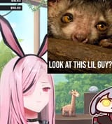 1751166644843
