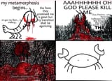 carcinization