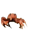 crab-rave-time-dance