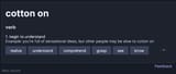 2025-06-29 00_28_58-Startpage Search Results - Cromite