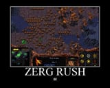 206 - gg rush starcraft zerg