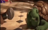 tortoise