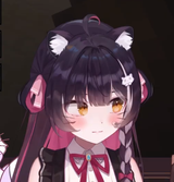 rakipee