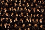 jewish herd