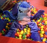 sharky-ball-pit