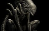Xeno crouch