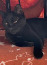 annoyed