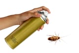 Cockroach spray