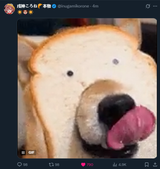 Korone tweet