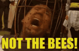 not-the-bees