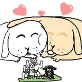 Loveforever
