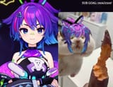 mel hamster
