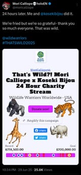 Screenshot_20250629-231257