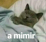 nightynight