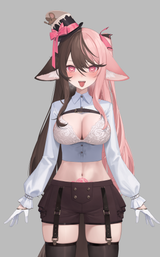 vix akioair unused model