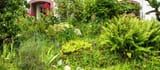 Overgrown-and-Neglected-Land-q2ue667b6939bwh21q2fqd8zip97td6nlrocw0ta4o