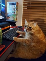 mfw_cat_computer
