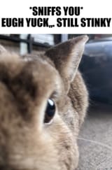 1722622771053470