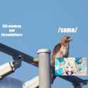 20250630[sound=files.catbox.moe%2Fx2vv1a.mp4]_thumb.jpg
