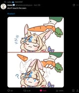 1749462411247412