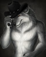 84447